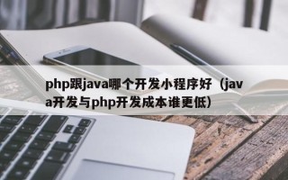 php跟java哪个开发小程序好（java开发与php开发成本谁更低）