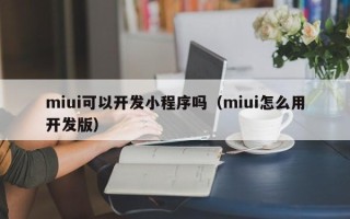 miui可以开发小程序吗（miui怎么用开发版）