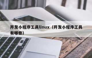 开发小程序工具linux（开发小程序工具有哪些）