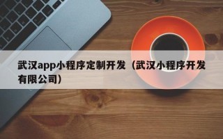 武汉app小程序定制开发（武汉小程序开发有限公司）