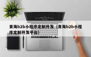 青海b2b小程序定制开发（青海b2b小程序定制开发平台）