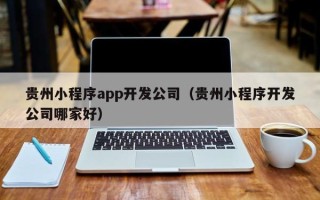 贵州小程序app开发公司（贵州小程序开发公司哪家好）