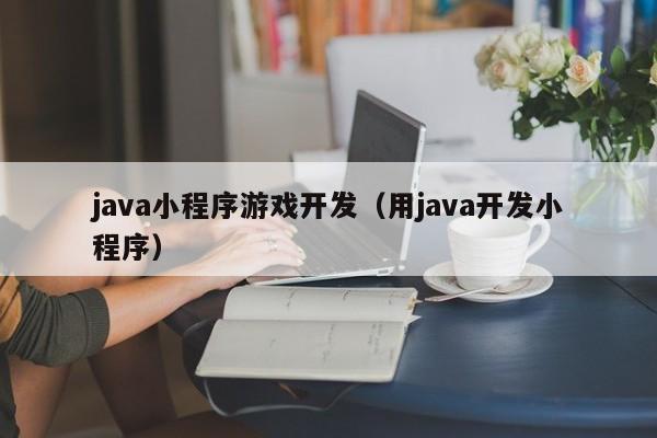 java小程序游戏开发（用java开发小程序）-第1张图片-小程序开发_微信小程序开发_小程序定制开发_阿里软件小程序开发公司