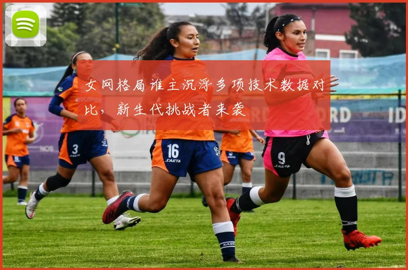 女网格局谁主沉浮多项技术数据对比，新生代挑战者来袭