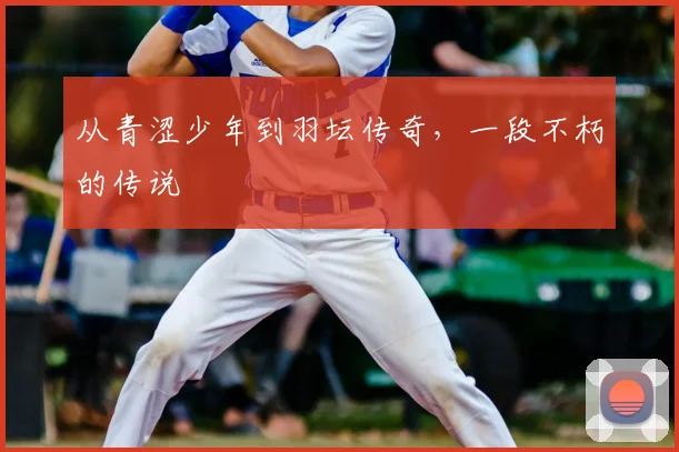 从青涩少年到羽坛传奇，一段不朽的传说