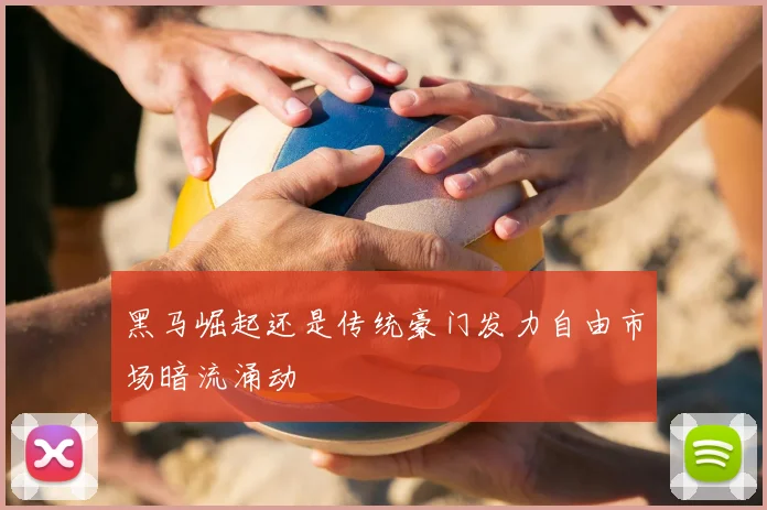 黑马崛起还是传统豪门发力自由市场暗流涌动