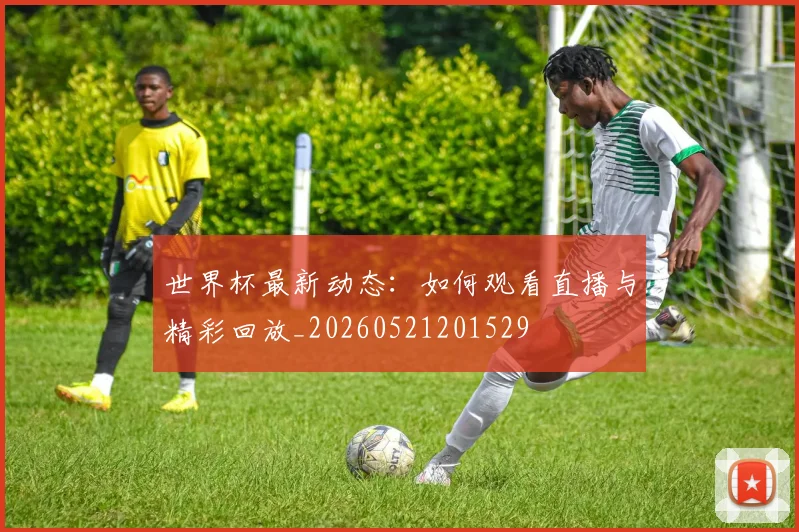 世界杯最新动态:如何观看直播与精彩回放_20260521201529