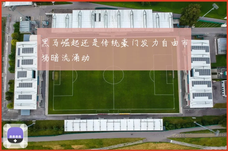黑马崛起还是传统豪门发力自由市场暗流涌动